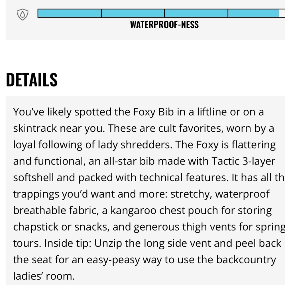 FLYLOW Foxy bib ski / snowboard pant